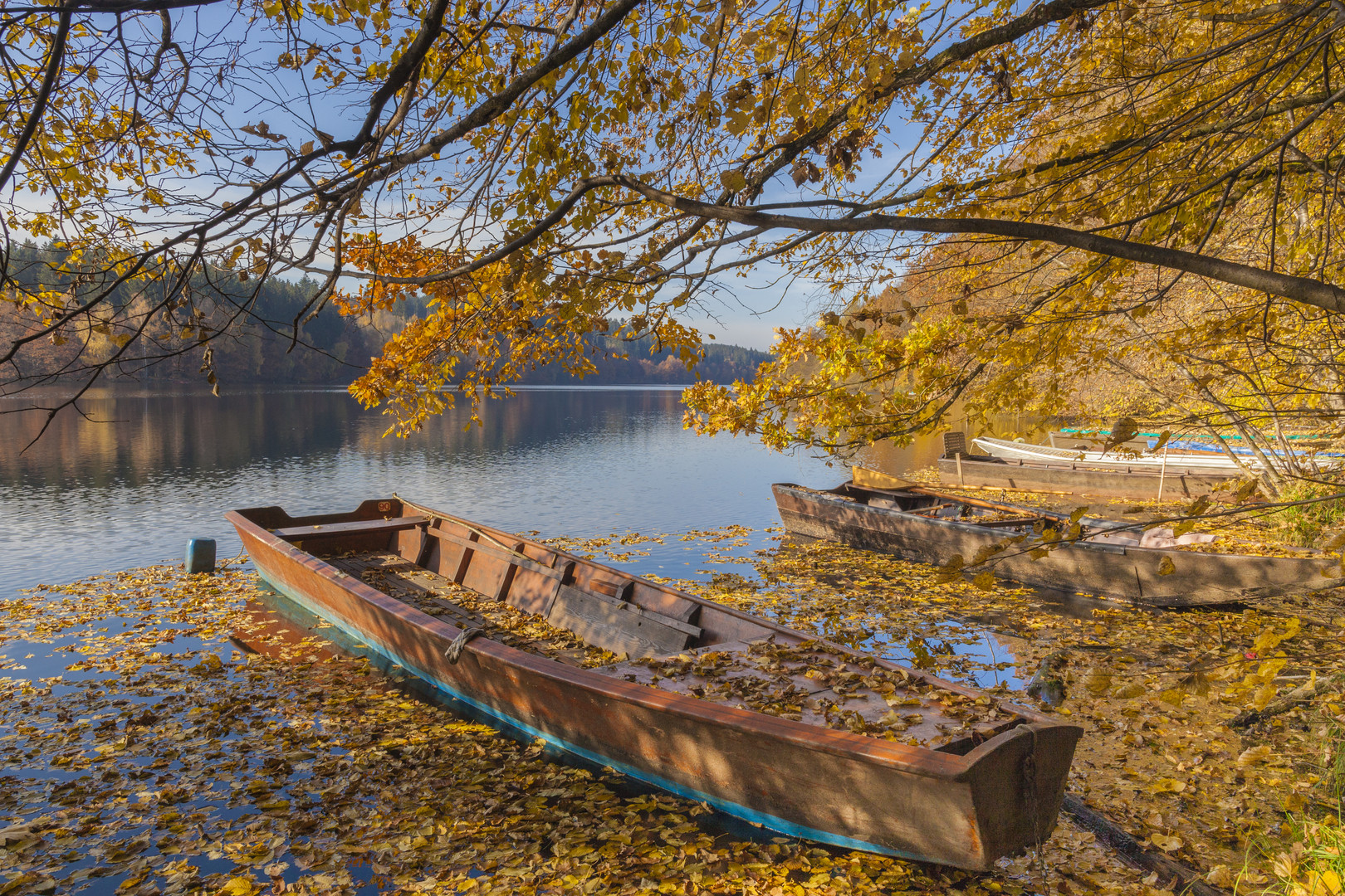 Ilzstausee in Herbst