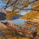 Ilzstausee in Herbst