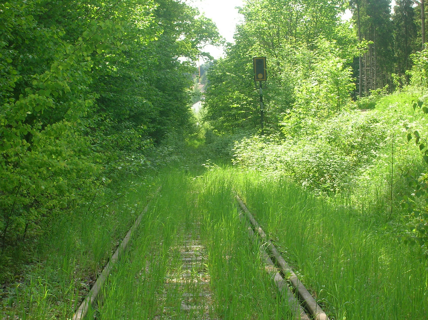 Ilztalbahn - als sie noch tot geglaubt wurde