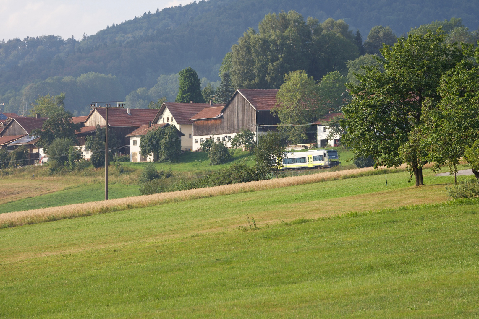 Ilztalbahn unterwegs in Waldkirchen (05.08.2018)