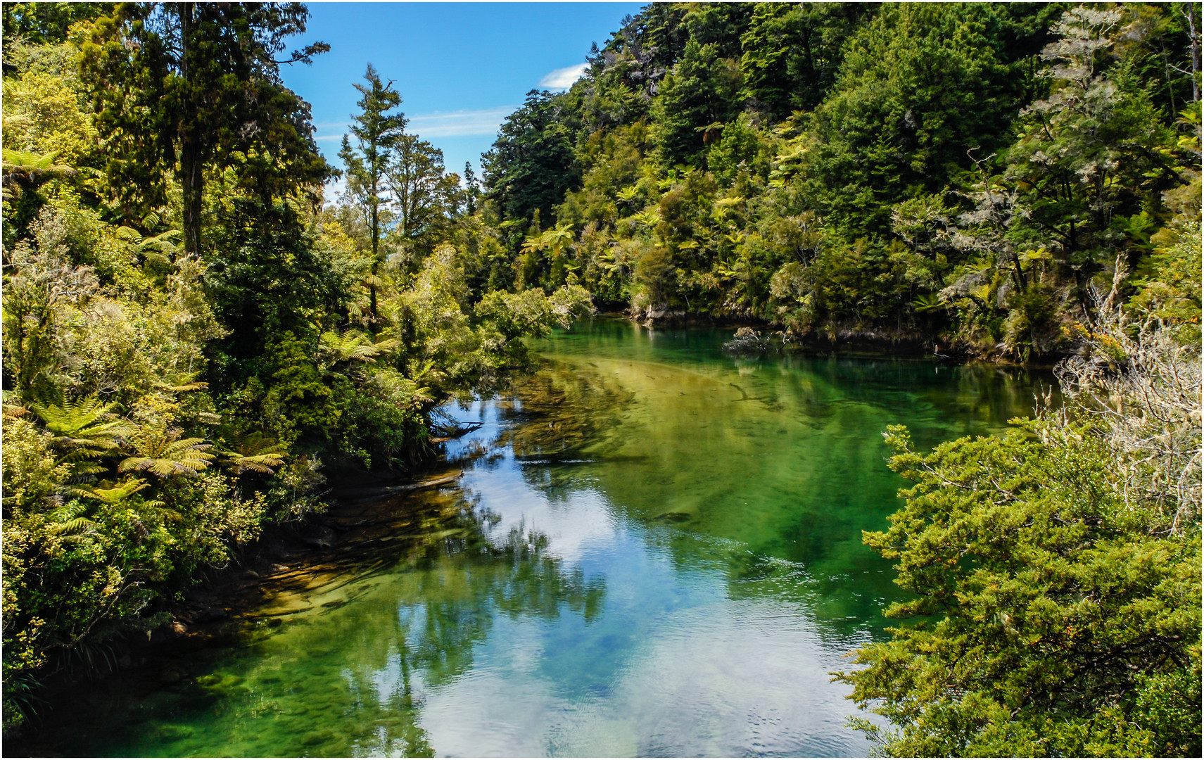 Im Abel Tasman Nationalpark, Südinsel Neuseeland