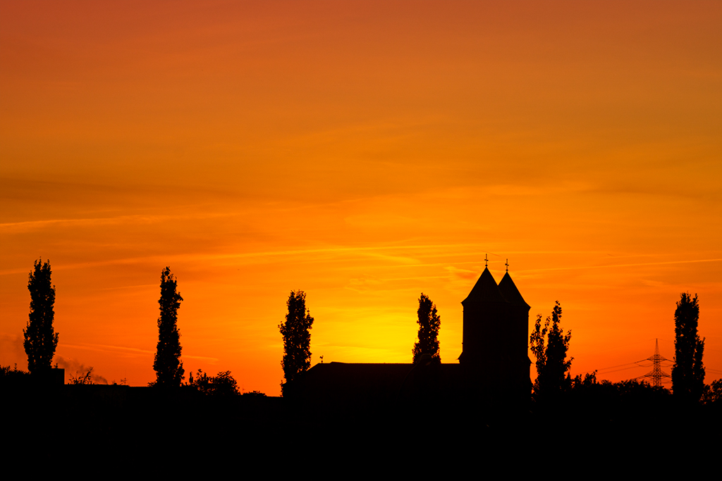 Im abendlichen Gegenlicht