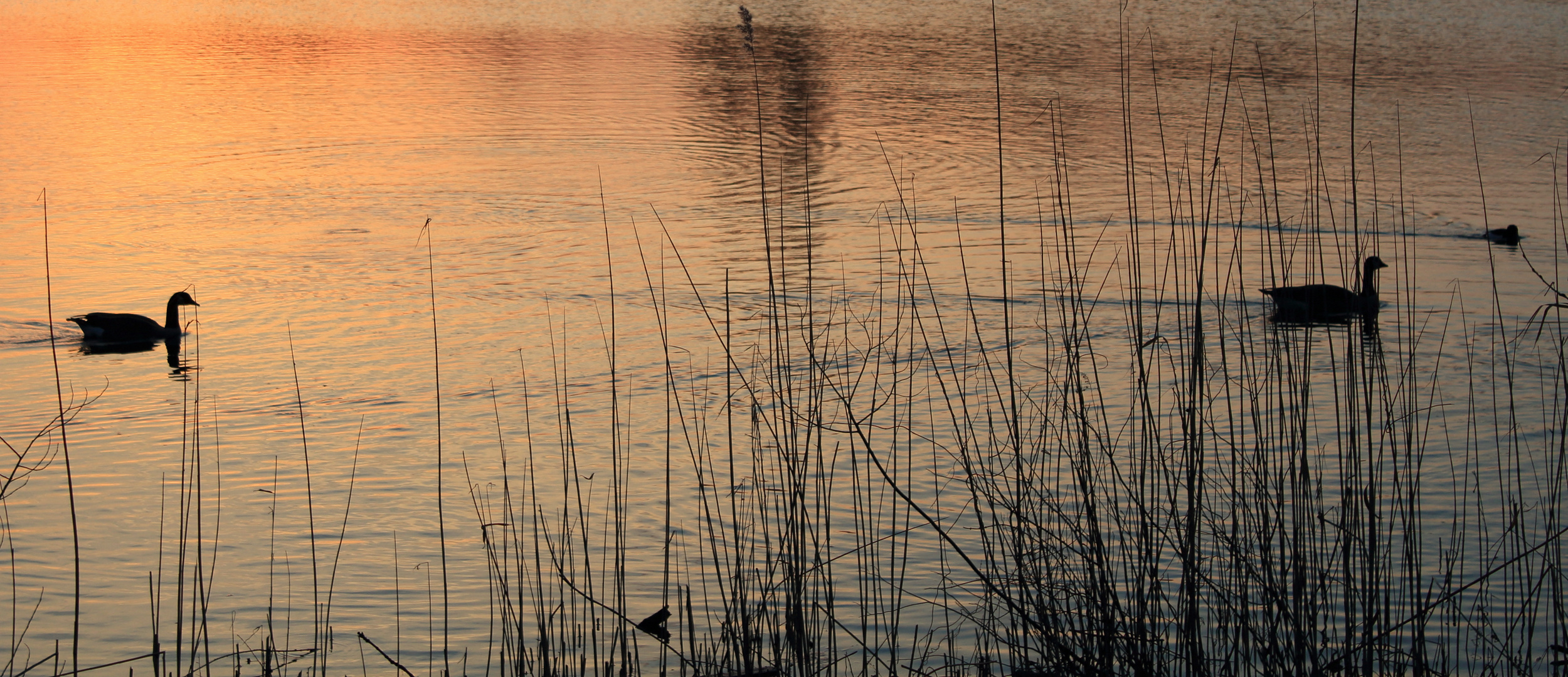 Im Abendlicht