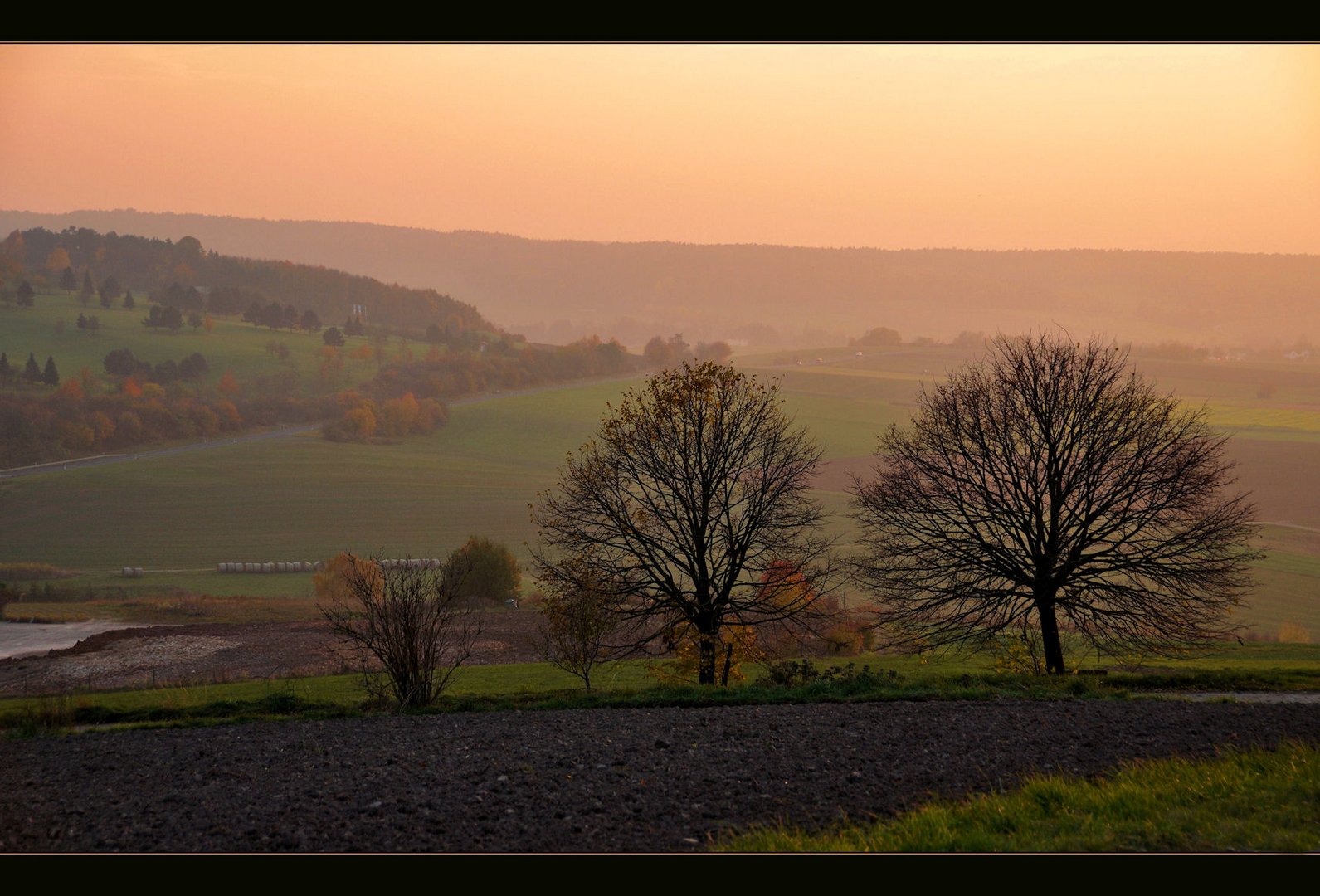 im Abendlicht