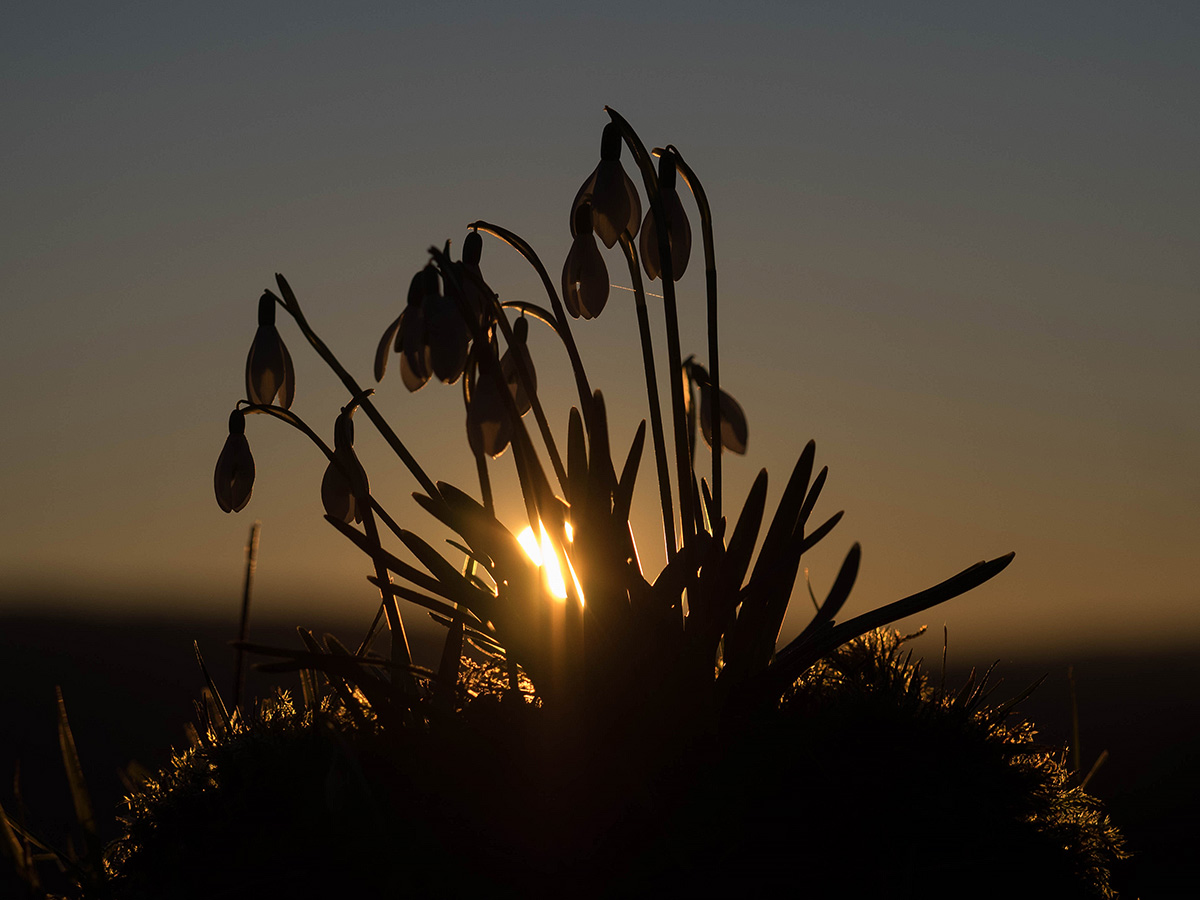 Im Abendlicht