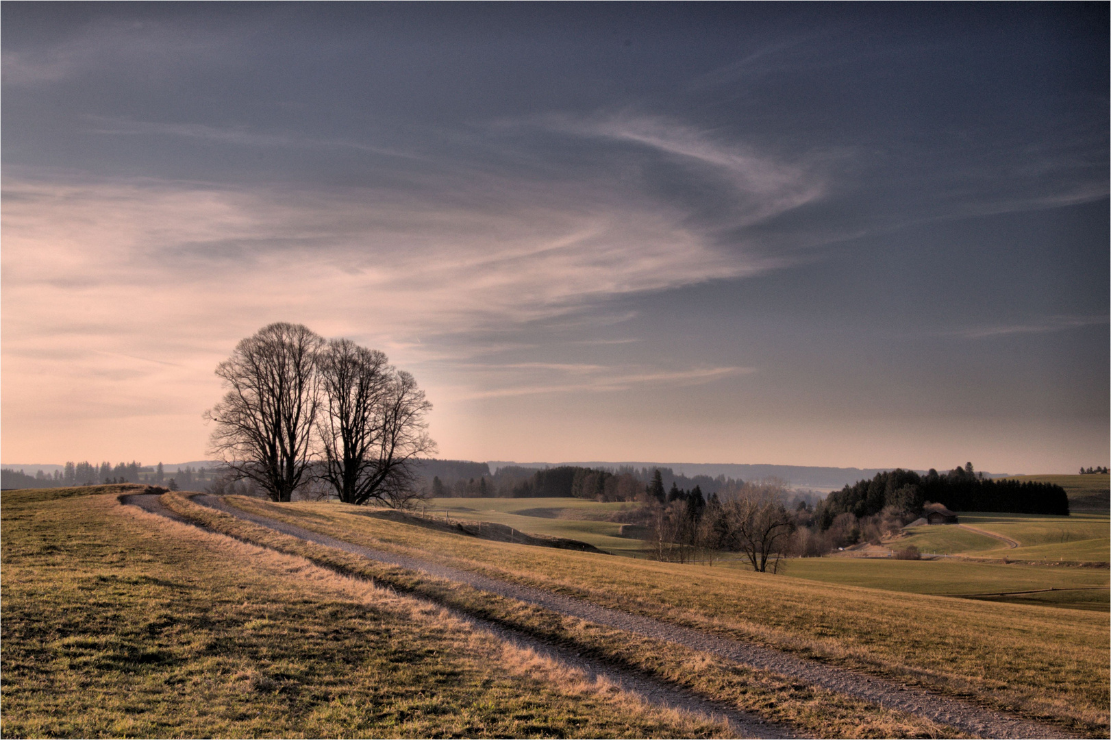 Im Abendlicht