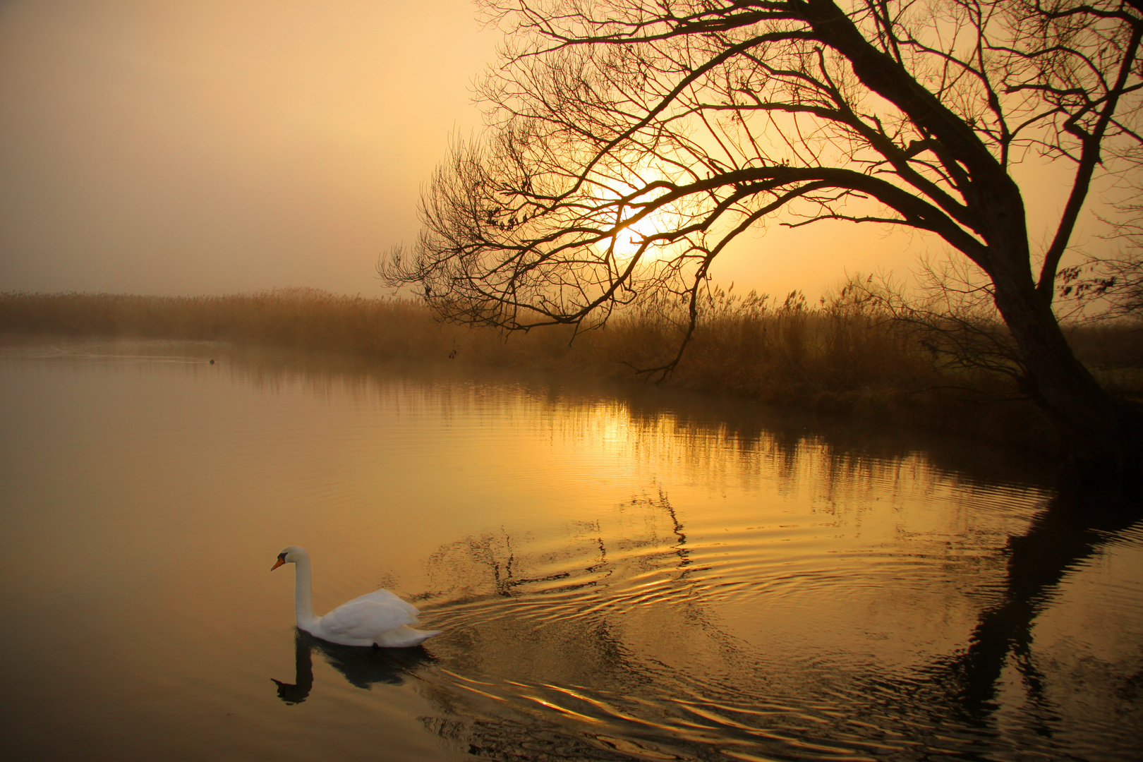 Im Abendlicht