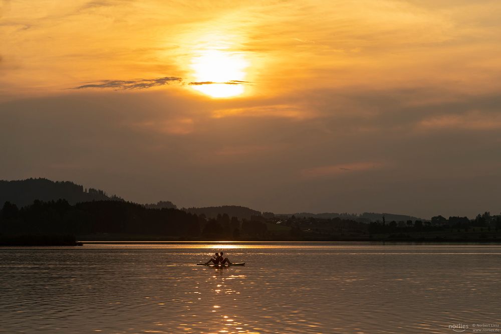 Im Abendlicht am Hopfensee