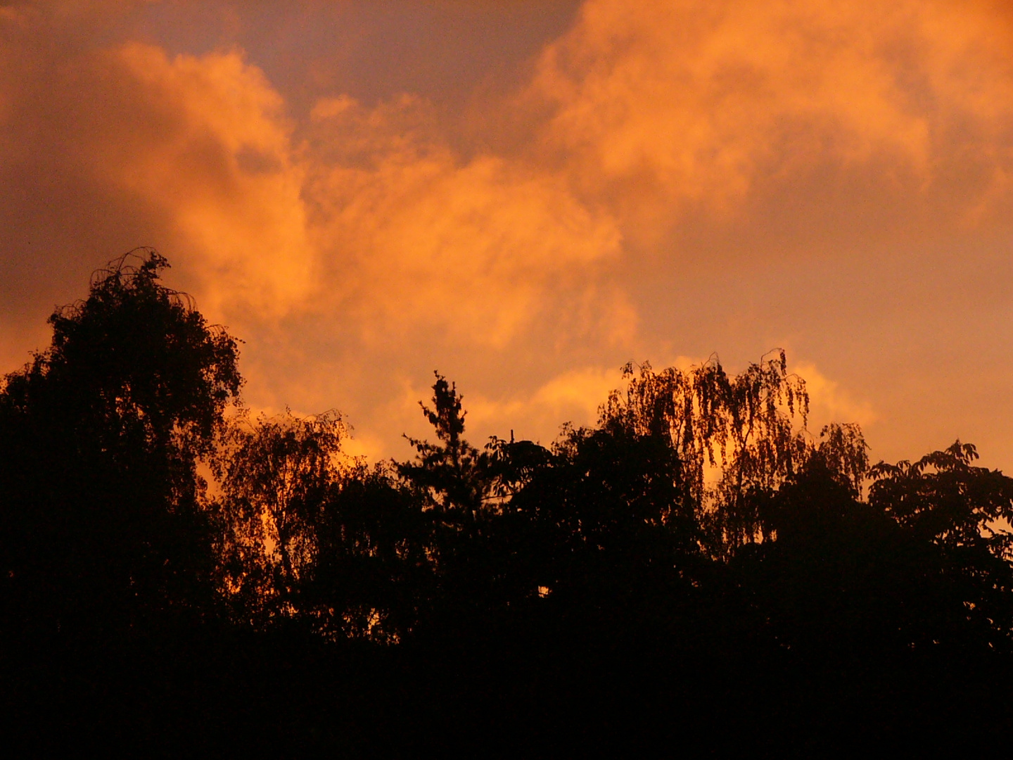 Im Abendlicht angestrahlte Wolken