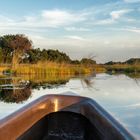 Im Abendlicht auf dem Okavango