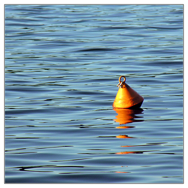 Im Abendlicht auf dem Wasser tanzen