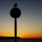 im Abendlicht auf Usedom