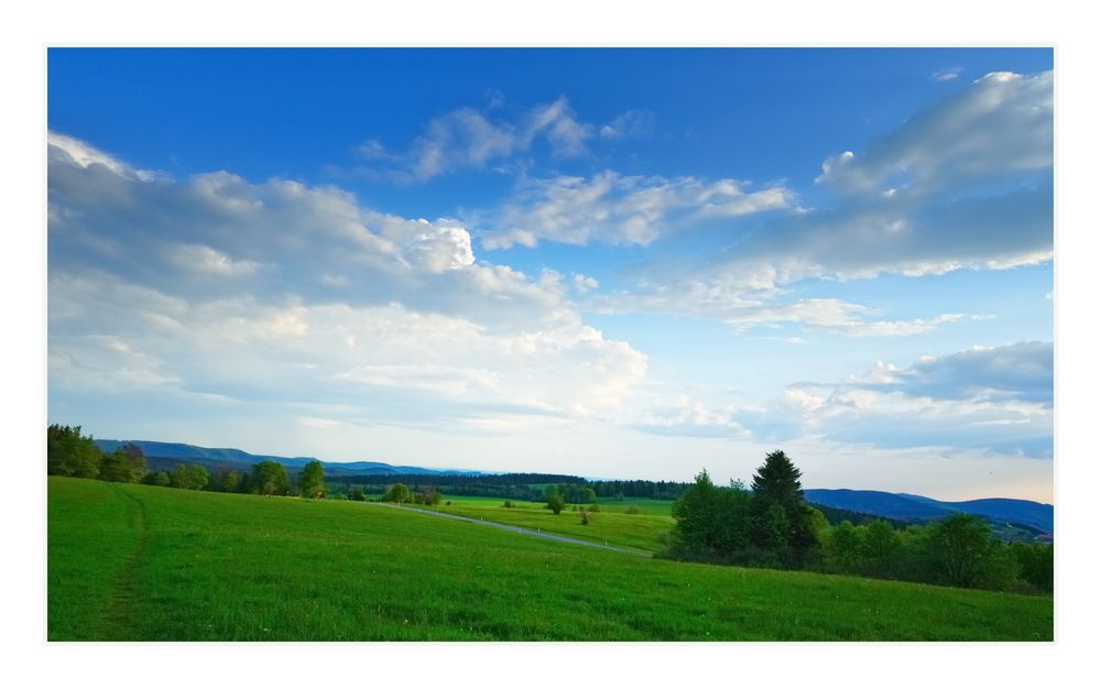 Im Abendlicht (Blick zum Beerberg)