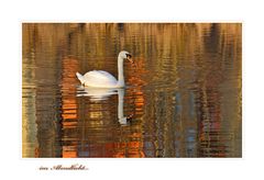 im Abendlicht...