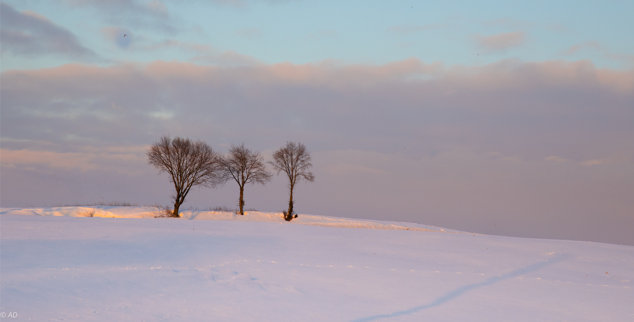 Im Abendlicht