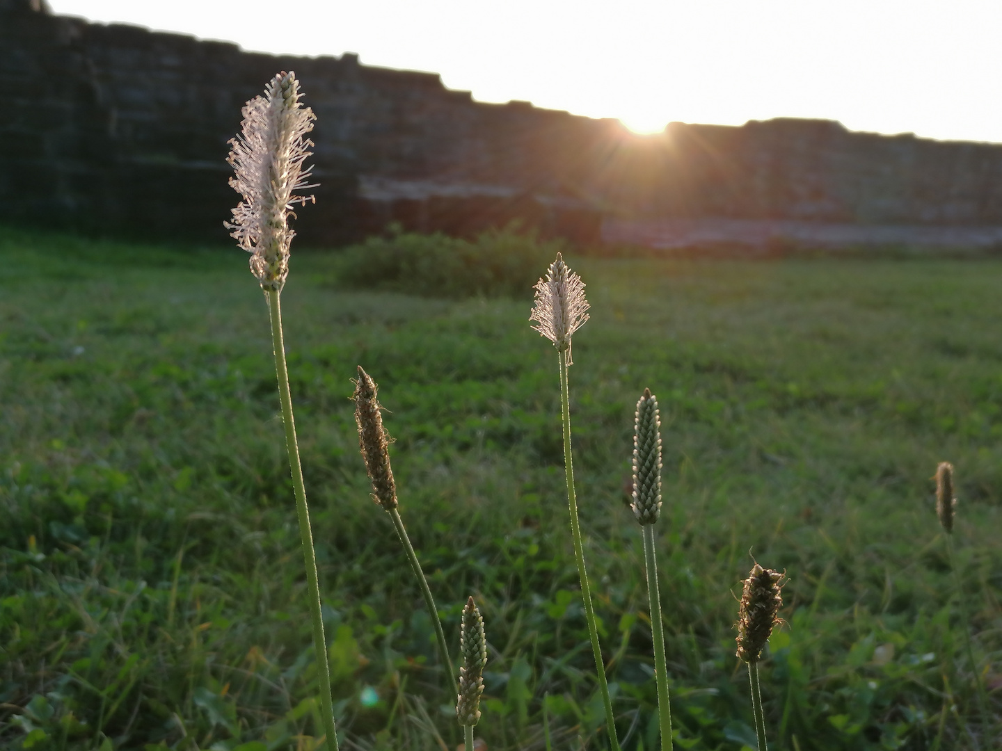 Im Abendlicht