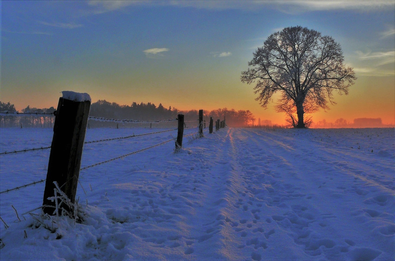 Im Abendlicht