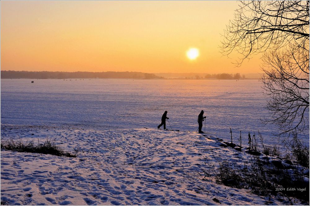 im Abendlicht