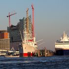 Im Abendlicht Elbphilharmonie sowie die "San Diego" und die "Explorer" im Hafen Hamburg