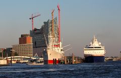 Im Abendlicht Elbphilharmonie sowie die "San Diego" und die "Explorer" im Hafen Hamburg