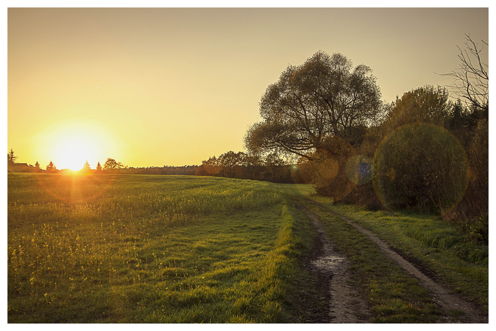 Im Abendlicht