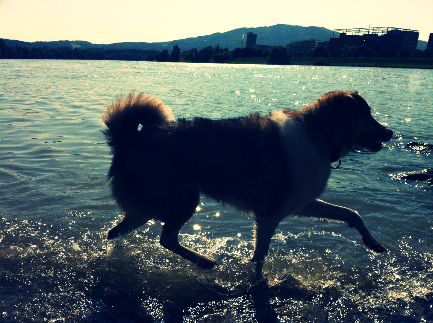 Im Abendrot schwimmen