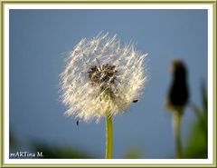 Im Abendschein  (mit Gedicht)