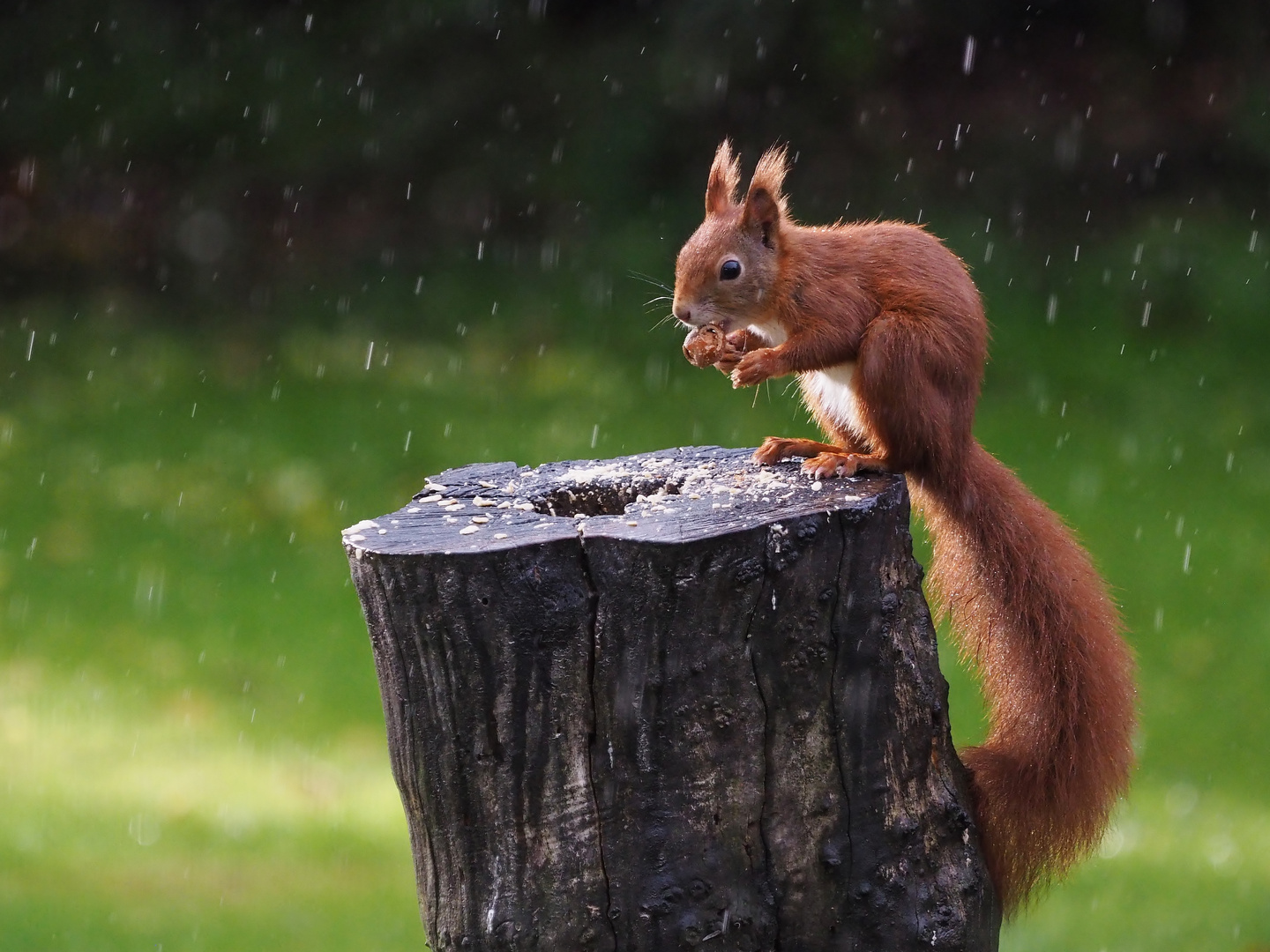 Im aktuellen Aprilwetter