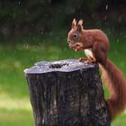 Im aktuellen Aprilwetter