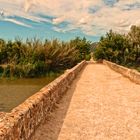 "IM ALBUFERA NATURPARK"