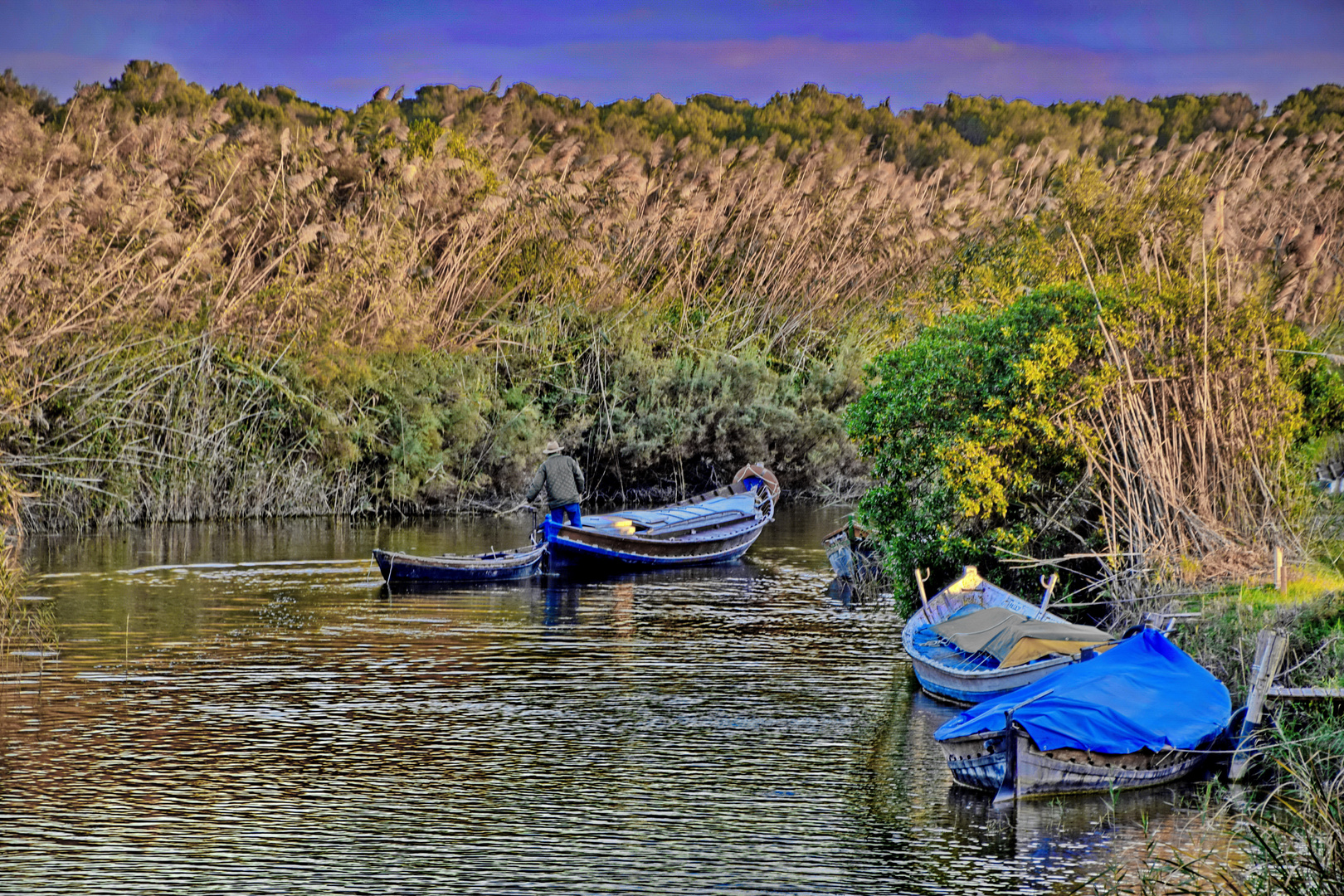 Im Albufera Naturpark Schilfland