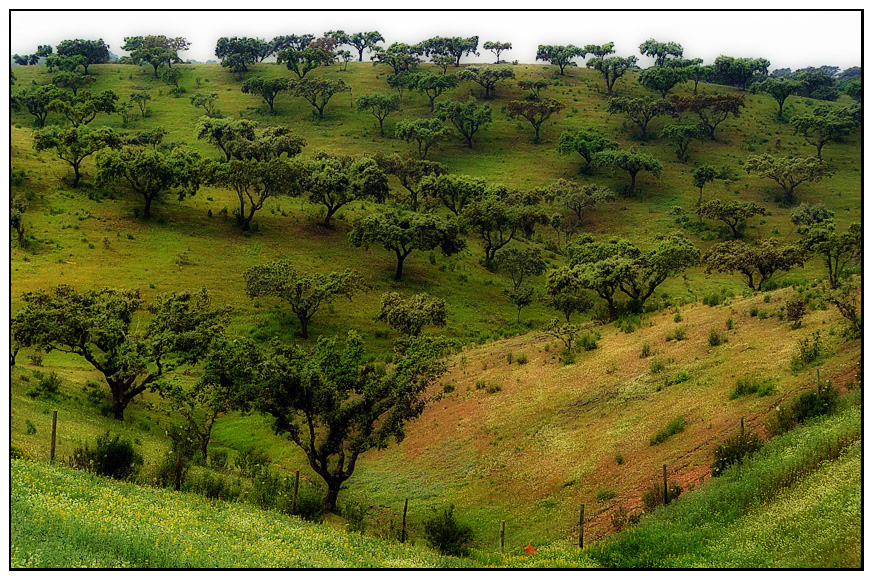 Im Alentejo