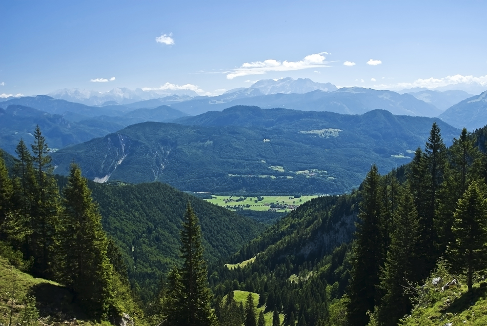 Im Allgäu