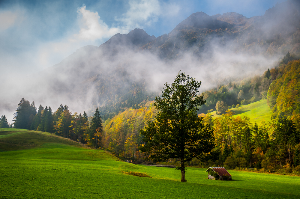 Im Allgäu