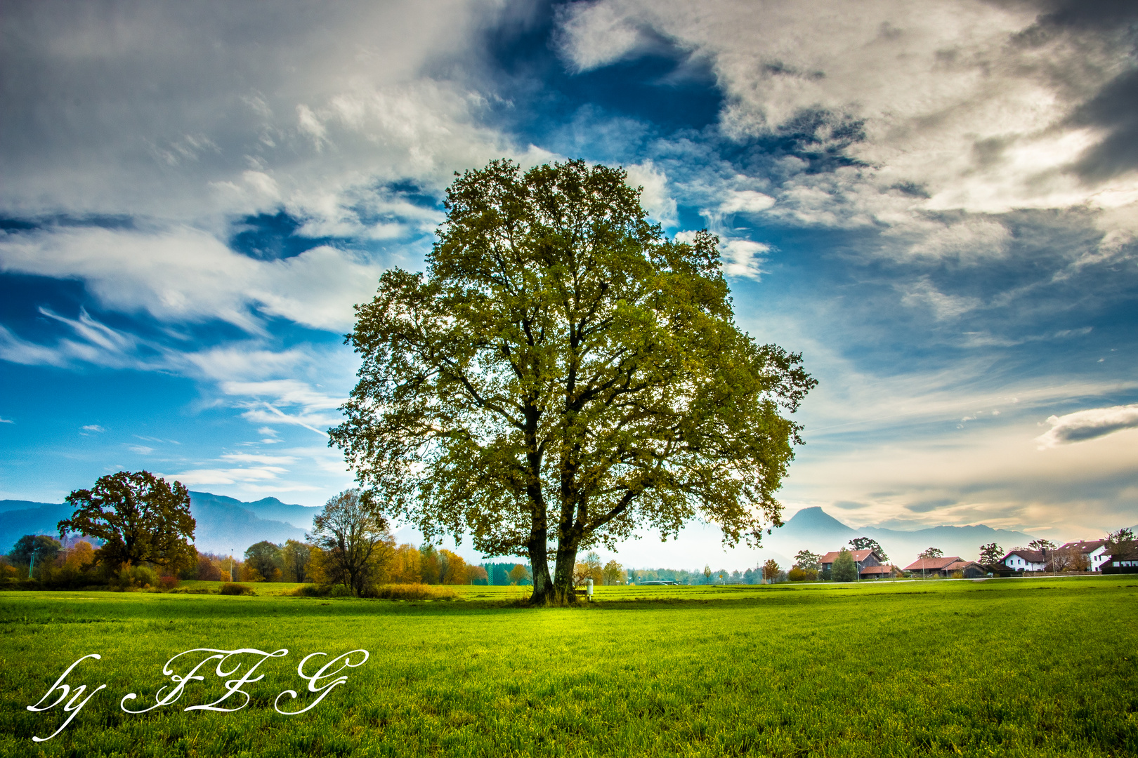 im Allgäu