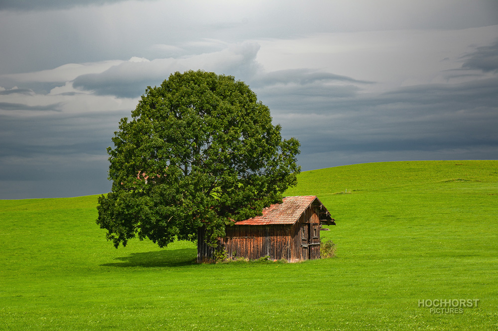 im Allgäu