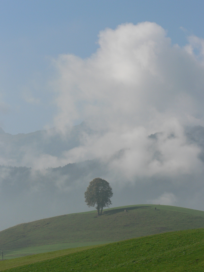 im Allgäu