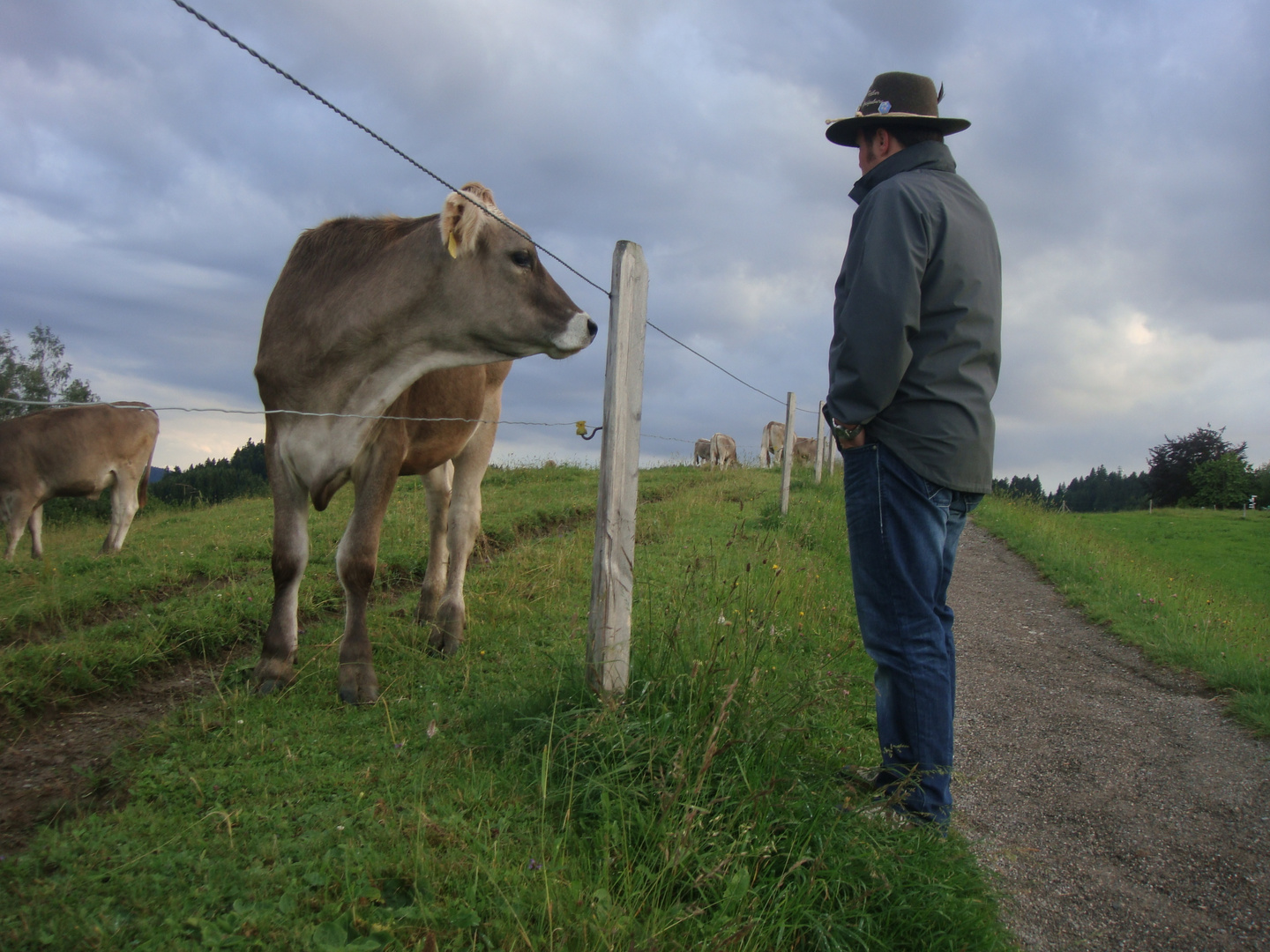 im Allgäu