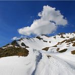 Im Allgäu ... [ Gipfelblick ]