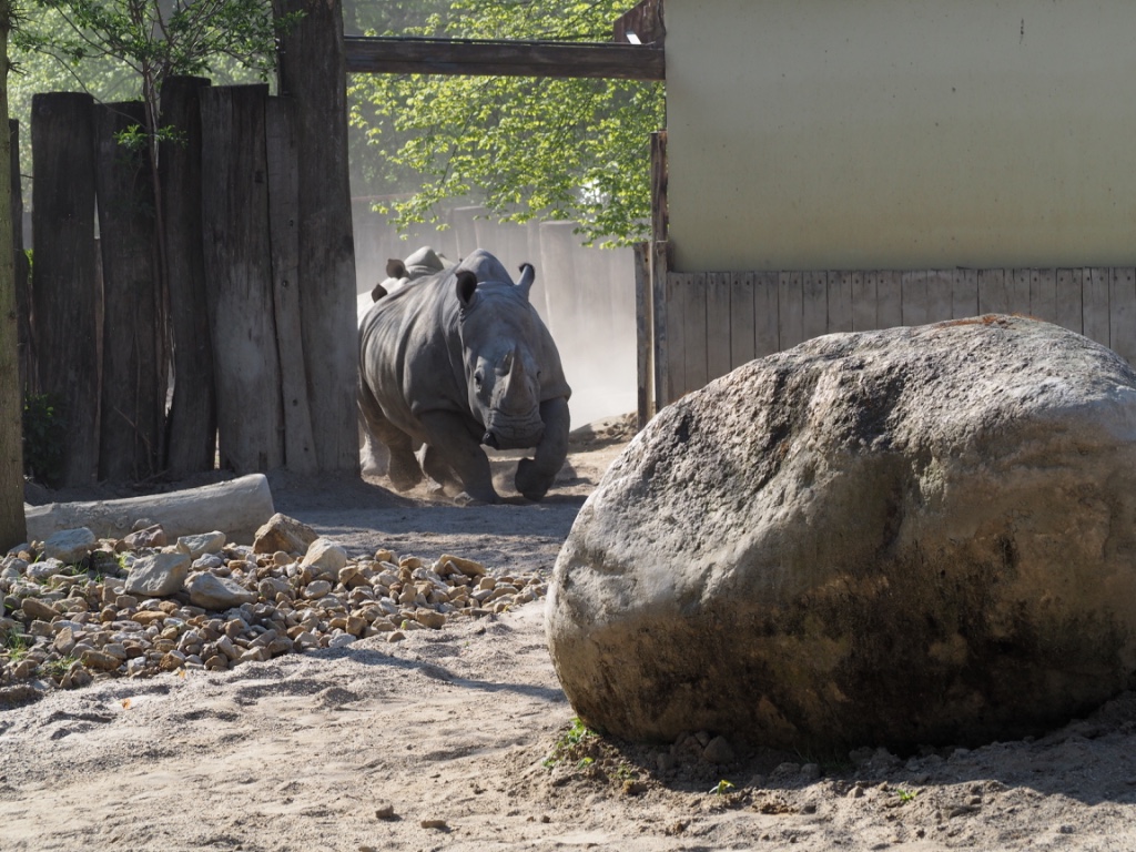 Im Allwetterzoo Münster