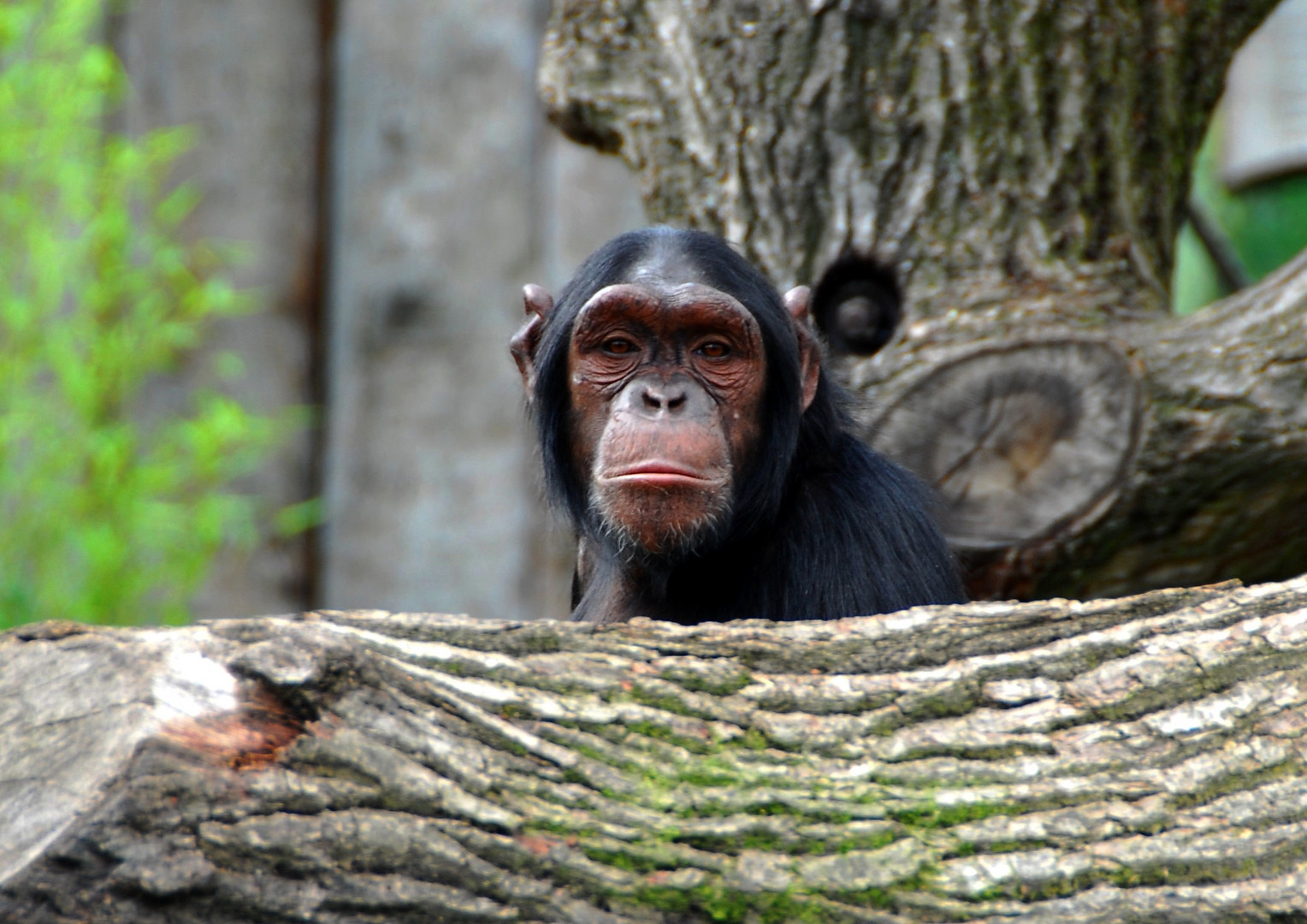 Im Allwetterzoo - Münster