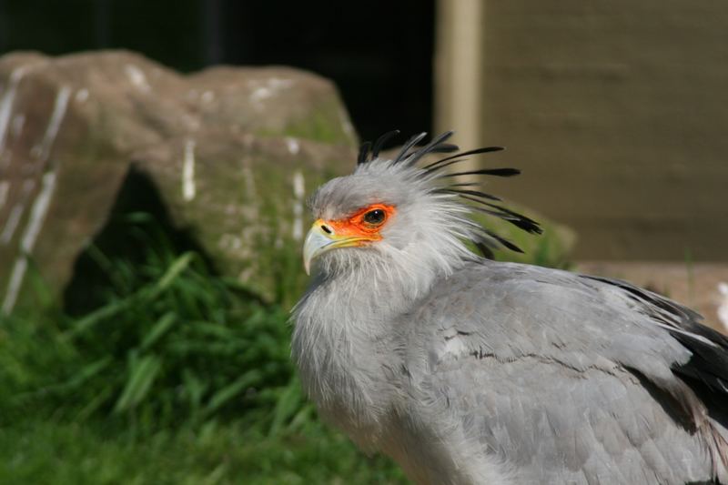 Im Allwetterzoo Münster.