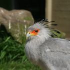 Im Allwetterzoo Münster.