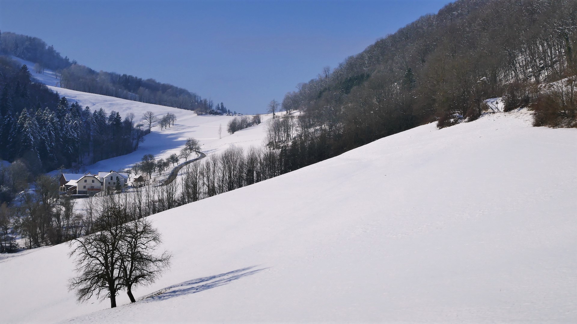 Im alpinen Niederösterreich ist doch der Winter gekommen.