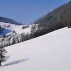 Im alpinen Niederösterreich ist doch der Winter gekommen.