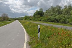 Im Altrheinparadies von Au: Der Deich