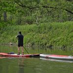 Im Altrheinparadies von Au: Doppel - SUP