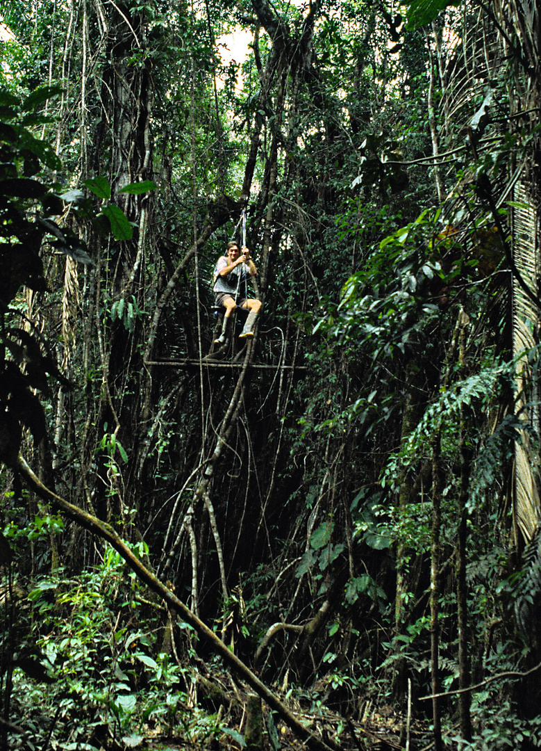 im Amazonas-Dschungel 