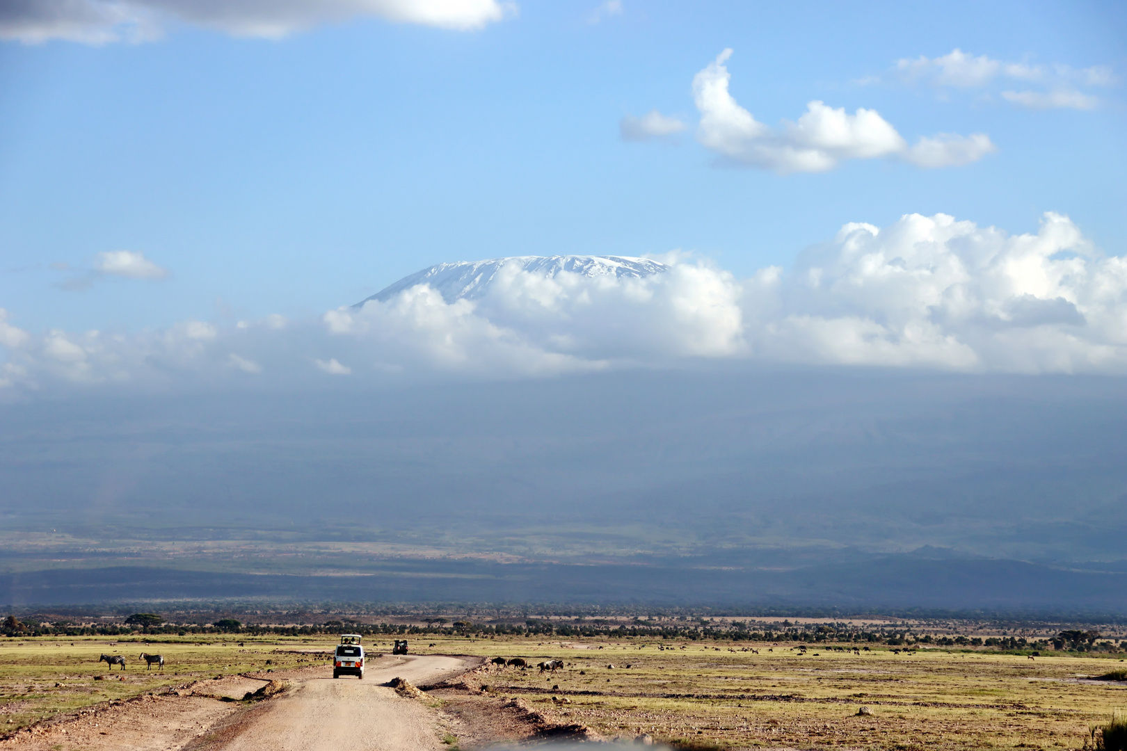 Im Amboseli NP