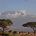 Im Amboseli NP Nr.2